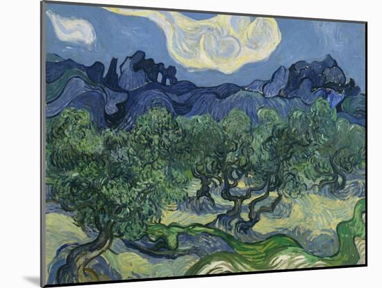 The Olive Trees. 1889-Vincent van Gogh-Mounted Giclee Print