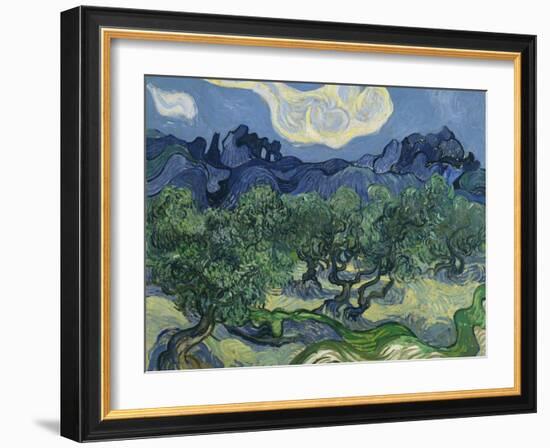 The Olive Trees. 1889-Vincent van Gogh-Framed Giclee Print