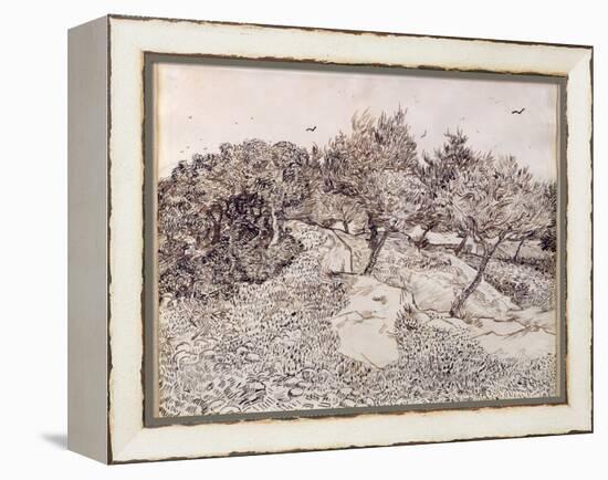 The Olive Trees-Vincent van Gogh-Framed Premier Image Canvas