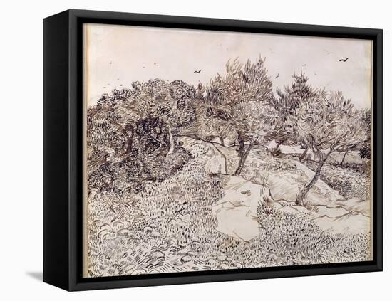 The Olive Trees-Vincent van Gogh-Framed Premier Image Canvas