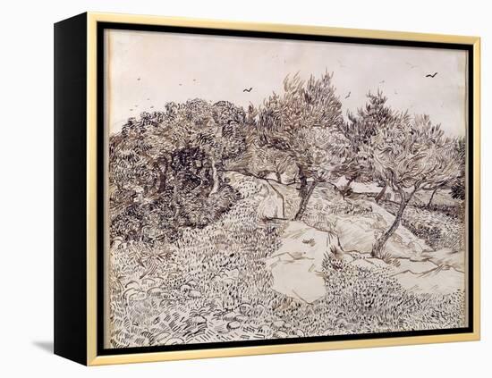 The Olive Trees-Vincent van Gogh-Framed Premier Image Canvas