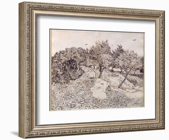 The Olive Trees-Vincent van Gogh-Framed Giclee Print