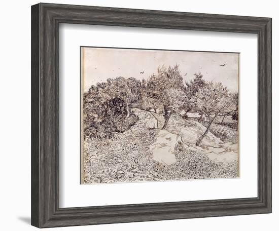 The Olive Trees-Vincent van Gogh-Framed Giclee Print