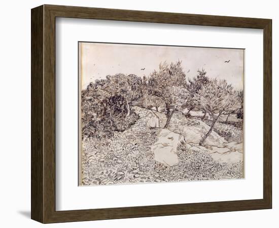 The Olive Trees-Vincent van Gogh-Framed Giclee Print