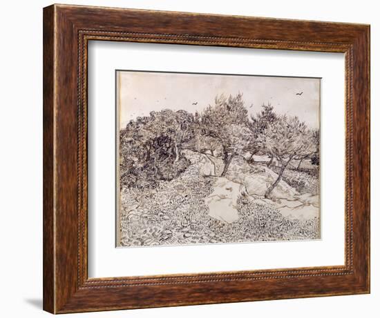 The Olive Trees-Vincent van Gogh-Framed Giclee Print