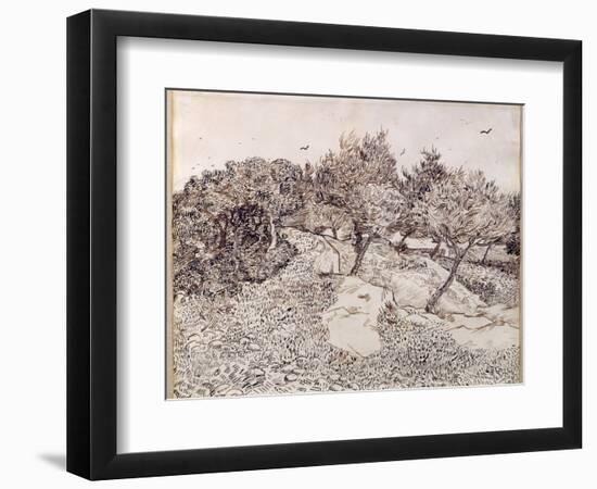 The Olive Trees-Vincent van Gogh-Framed Giclee Print