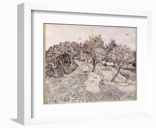 The Olive Trees-Vincent van Gogh-Framed Giclee Print