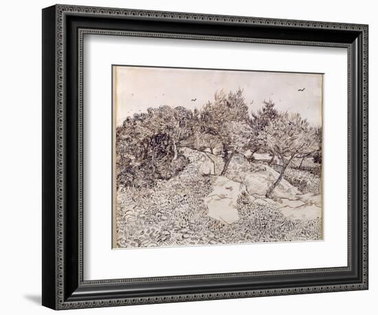 The Olive Trees-Vincent van Gogh-Framed Giclee Print