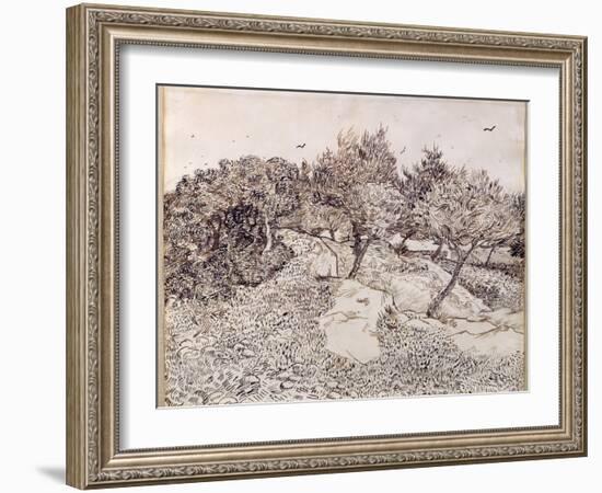 The Olive Trees-Vincent van Gogh-Framed Giclee Print