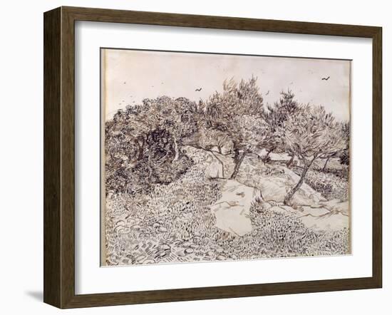 The Olive Trees-Vincent van Gogh-Framed Giclee Print