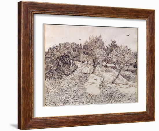 The Olive Trees-Vincent van Gogh-Framed Giclee Print