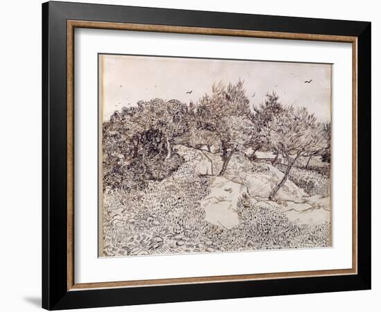 The Olive Trees-Vincent van Gogh-Framed Giclee Print