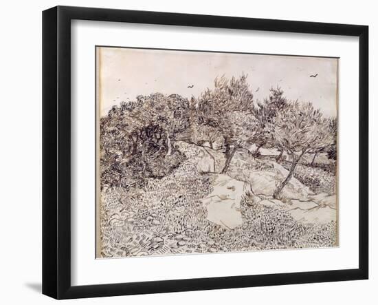 The Olive Trees-Vincent van Gogh-Framed Giclee Print