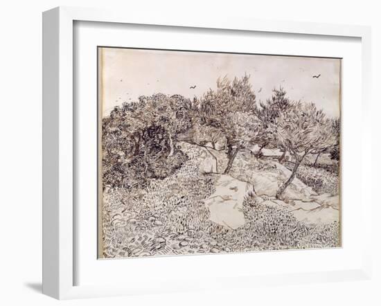 The Olive Trees-Vincent van Gogh-Framed Giclee Print