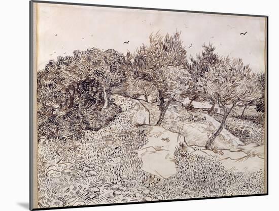 The Olive Trees-Vincent van Gogh-Mounted Giclee Print