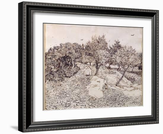 The Olive Trees-Vincent van Gogh-Framed Giclee Print