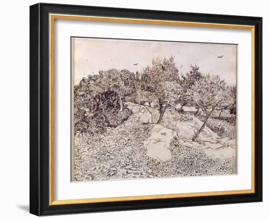 The Olive Trees-Vincent van Gogh-Framed Giclee Print