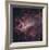 The Omega Nebula in Saggitarius-Robert Gendler-Framed Giclee Print