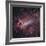 The Omega Nebula in Saggitarius-Robert Gendler-Framed Giclee Print