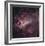 The Omega Nebula in Saggitarius-Robert Gendler-Framed Giclee Print