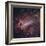 The Omega Nebula in Saggitarius-Robert Gendler-Framed Giclee Print