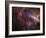 The Omega Nebula-Stocktrek Images-Framed Photographic Print