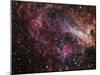 The Omega Nebula-Stocktrek Images-Mounted Photographic Print