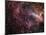 The Omega Nebula-Stocktrek Images-Mounted Photographic Print