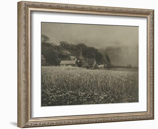 The Onion Field-George Davison-Framed Giclee Print