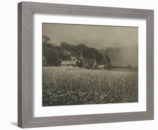 The Onion Field-George Davison-Framed Giclee Print