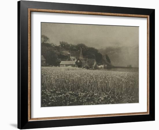 The Onion Field-George Davison-Framed Giclee Print