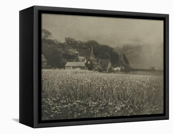 The Onion Field-George Davison-Framed Premier Image Canvas