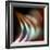 The Onion-Ursula Abresch-Framed Photographic Print