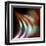 The Onion-Ursula Abresch-Framed Premium Photographic Print