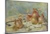 The Onions, 1881 (Oil on Canvas)-Pierre Auguste Renoir-Mounted Giclee Print