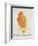 The Orange Colour Bird, from "Sixteen Drawings of Comic Birds"-Edward Lear-Framed Giclee Print