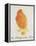 The Orange Colour Bird, from "Sixteen Drawings of Comic Birds"-Edward Lear-Framed Premier Image Canvas