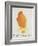 The Orange Colour Bird, from "Sixteen Drawings of Comic Birds"-Edward Lear-Framed Giclee Print