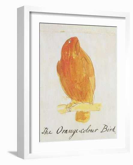 The Orange Colour Bird, from "Sixteen Drawings of Comic Birds"-Edward Lear-Framed Giclee Print