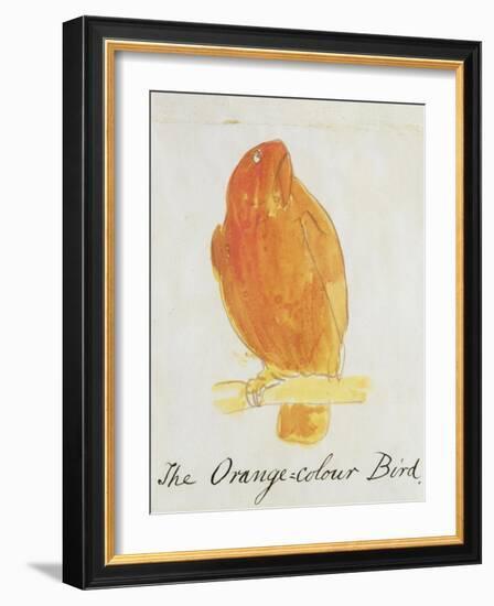 The Orange Colour Bird, from "Sixteen Drawings of Comic Birds"-Edward Lear-Framed Giclee Print