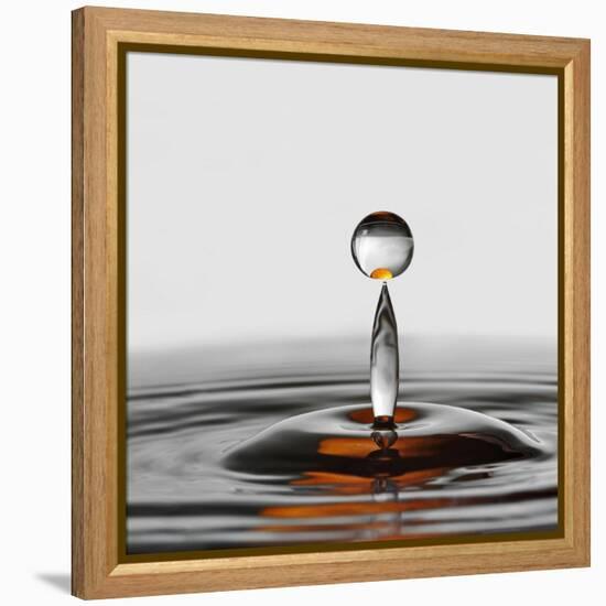 The Orange Drop-Heidi Westum-Framed Premier Image Canvas