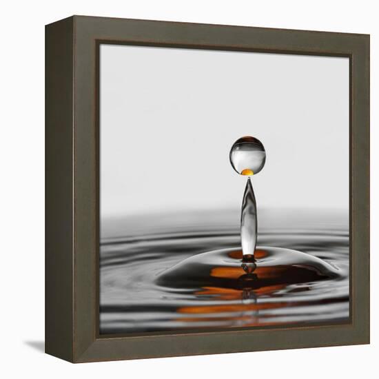 The Orange Drop-Heidi Westum-Framed Premier Image Canvas