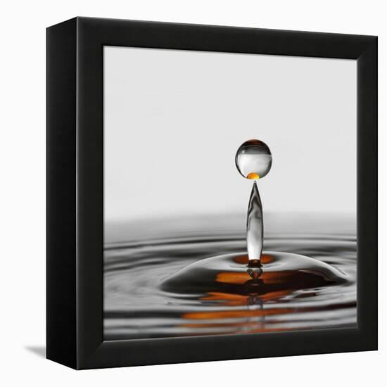 The Orange Drop-Heidi Westum-Framed Premier Image Canvas