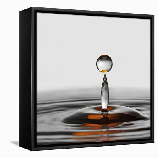 The Orange Drop-Heidi Westum-Framed Premier Image Canvas