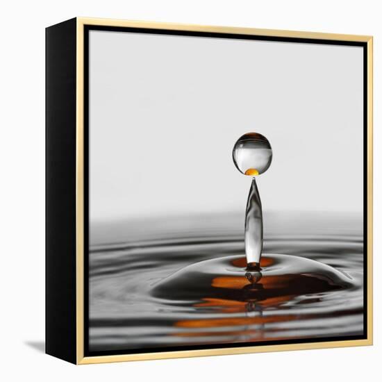 The Orange Drop-Heidi Westum-Framed Premier Image Canvas