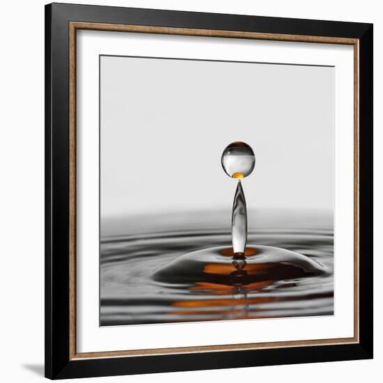 The Orange Drop-Heidi Westum-Framed Photographic Print