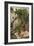The Orange Gatherers-John William Waterhouse-Framed Giclee Print