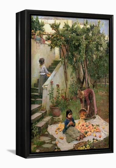 The Orange Gatherers-John William Waterhouse-Framed Premier Image Canvas