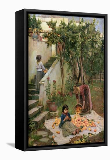 The Orange Gatherers-John William Waterhouse-Framed Premier Image Canvas