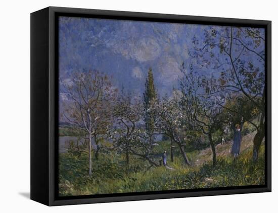 The Orchard, 1881-Alfred Sisley-Framed Premier Image Canvas